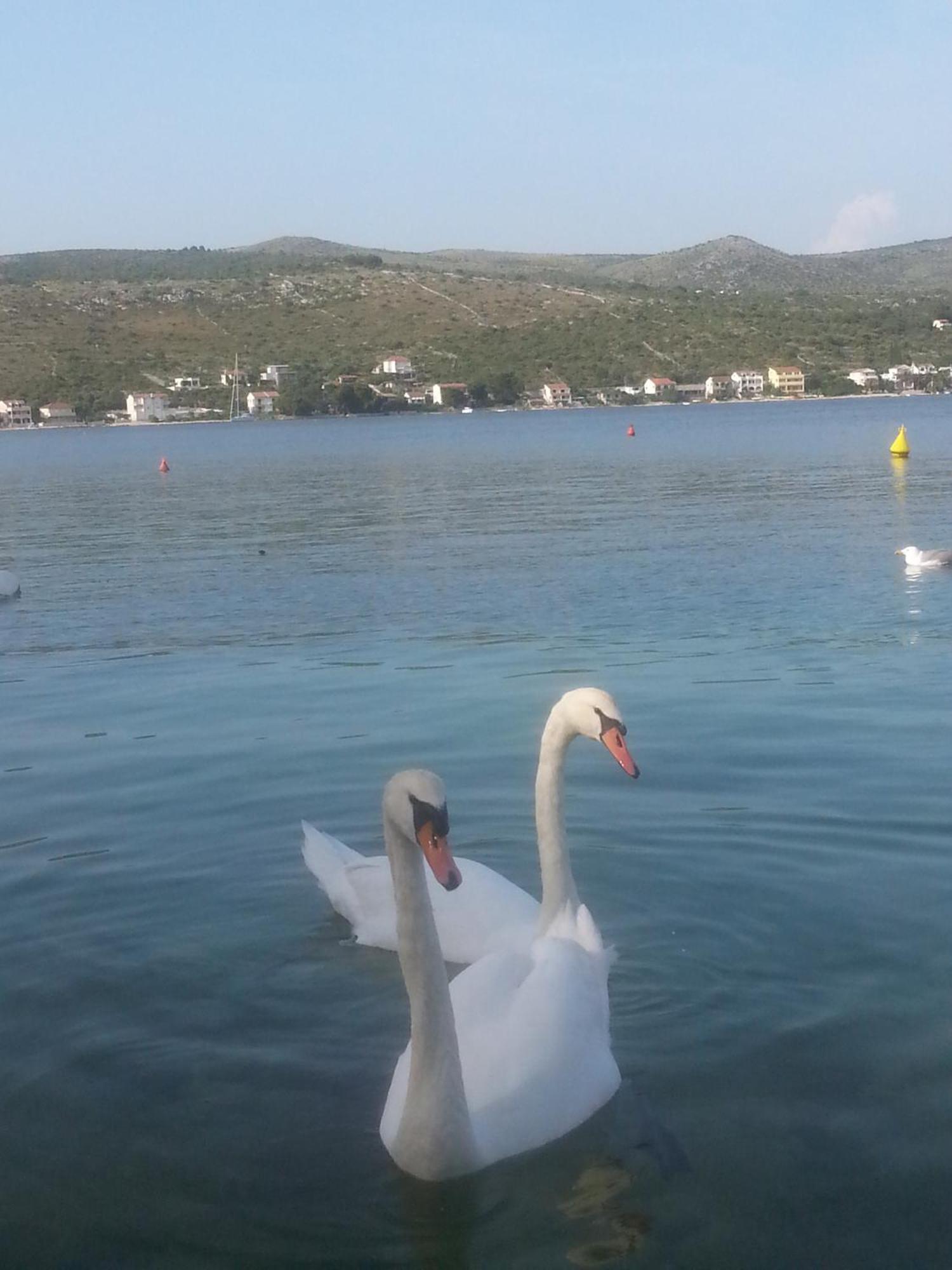 Holiday Home Milenka Rogoznica  Εξωτερικό φωτογραφία