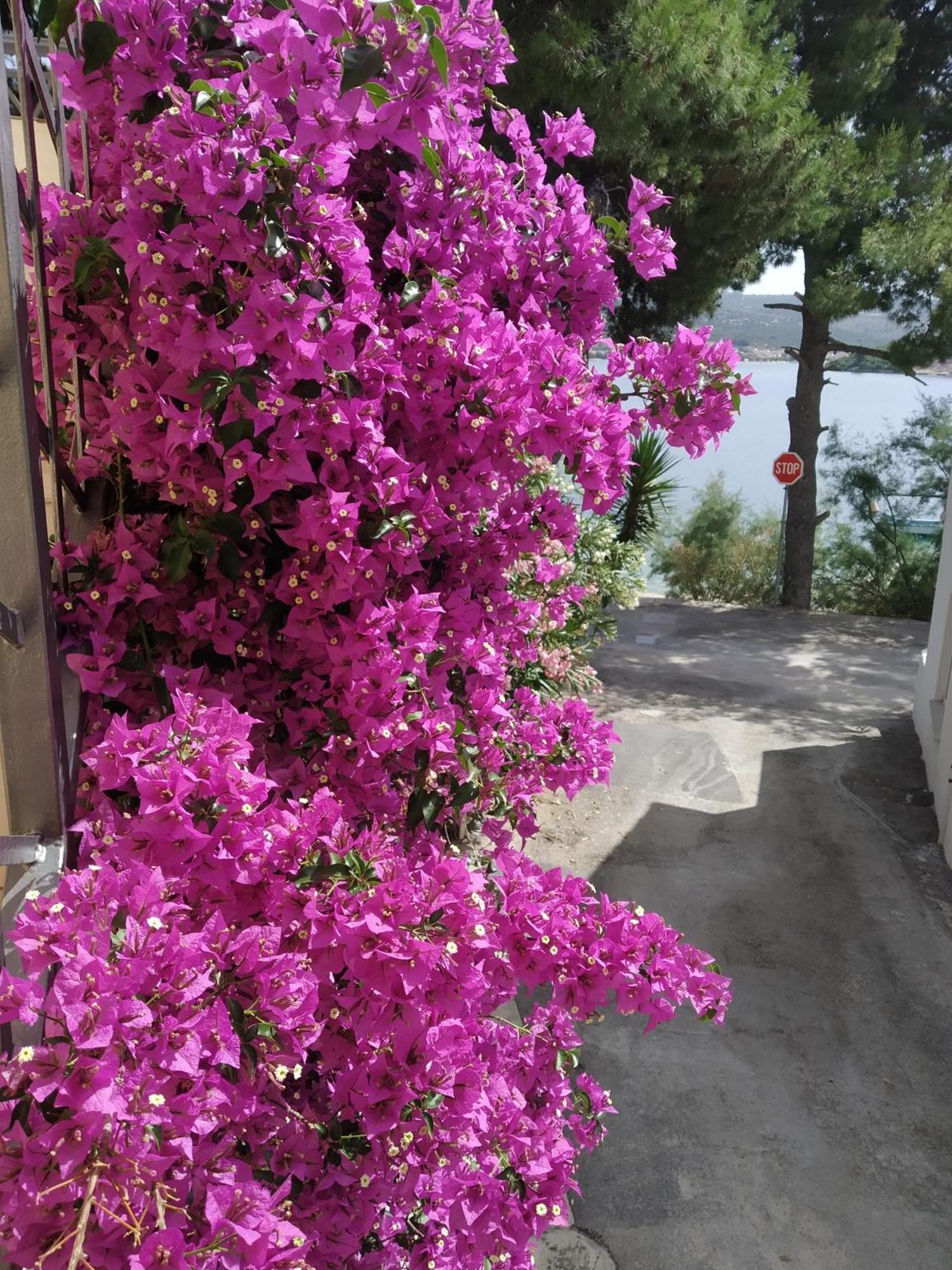 Holiday Home Milenka Rogoznica  Εξωτερικό φωτογραφία