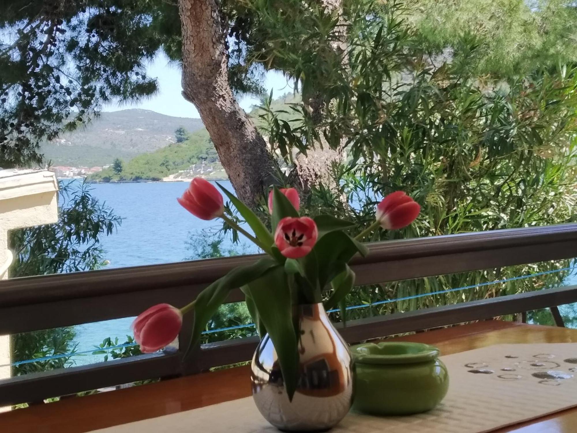 Holiday Home Milenka Rogoznica  Εξωτερικό φωτογραφία